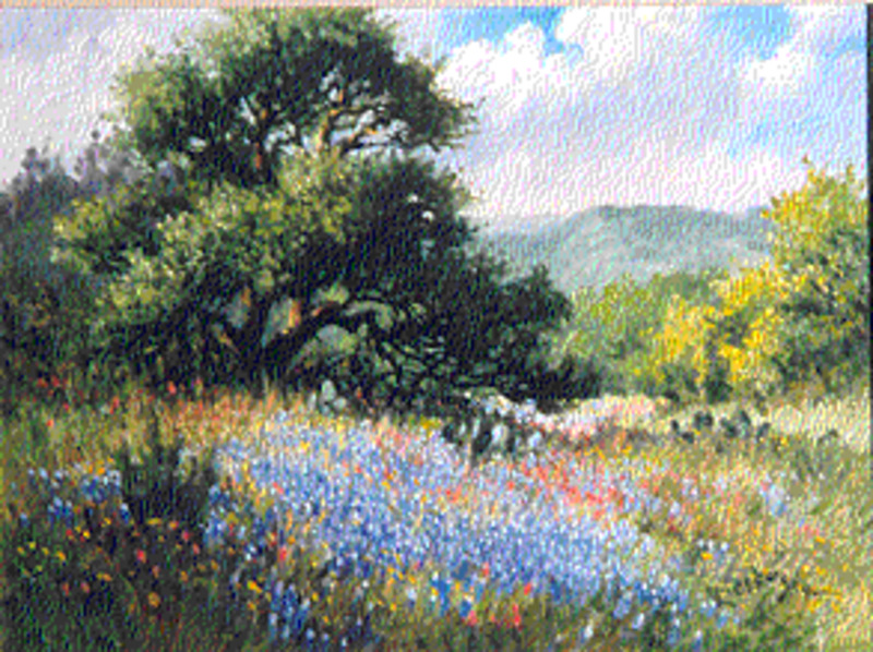 Springtime (bluebonnets)