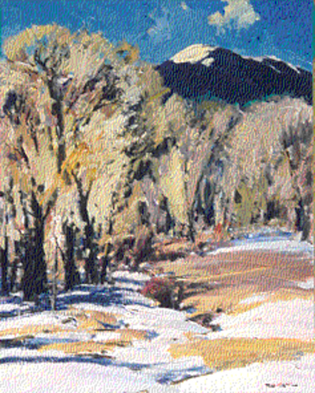 Winter landscape below Taos Mountain
