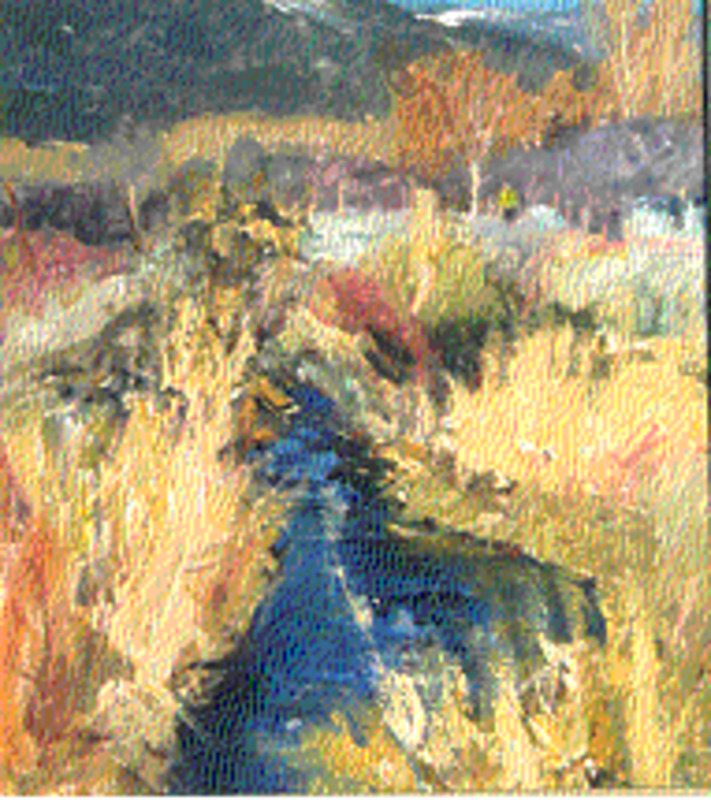 Irrigation ditch