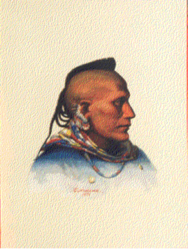 White Horse (Pawnee scout)