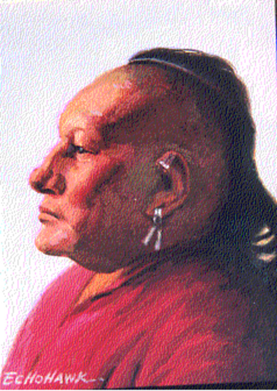 Little Wing - Osage