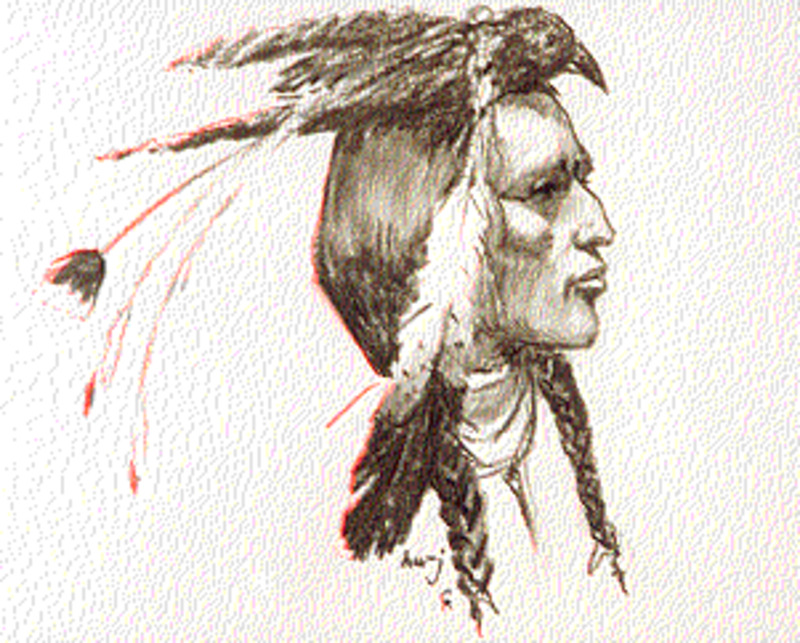 Crow