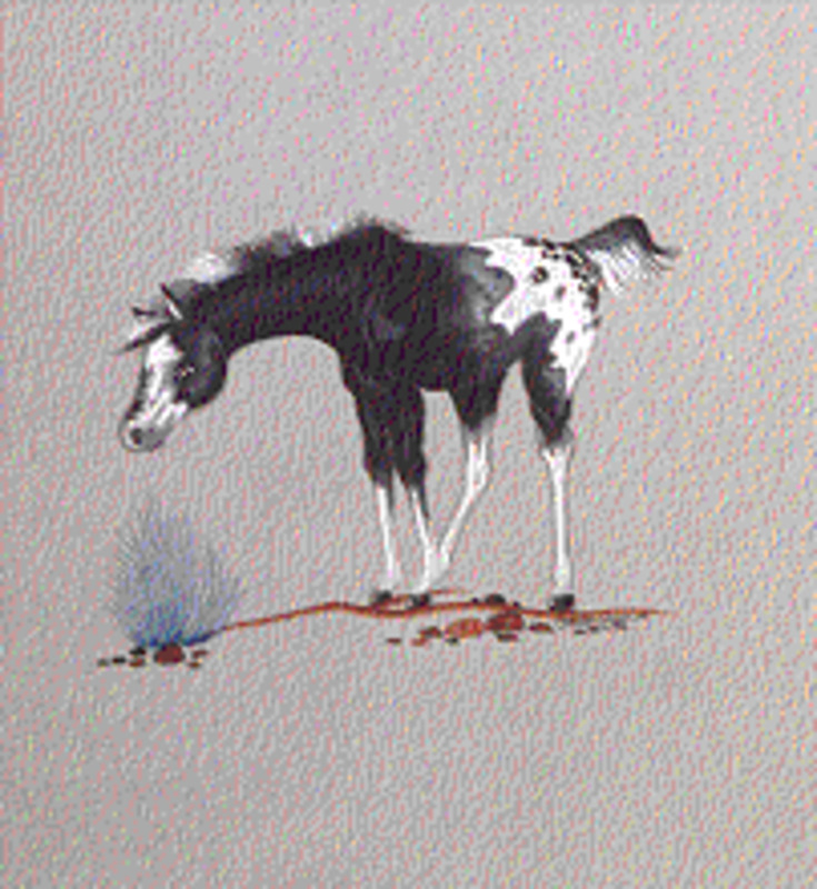 Untitled (Young horse)