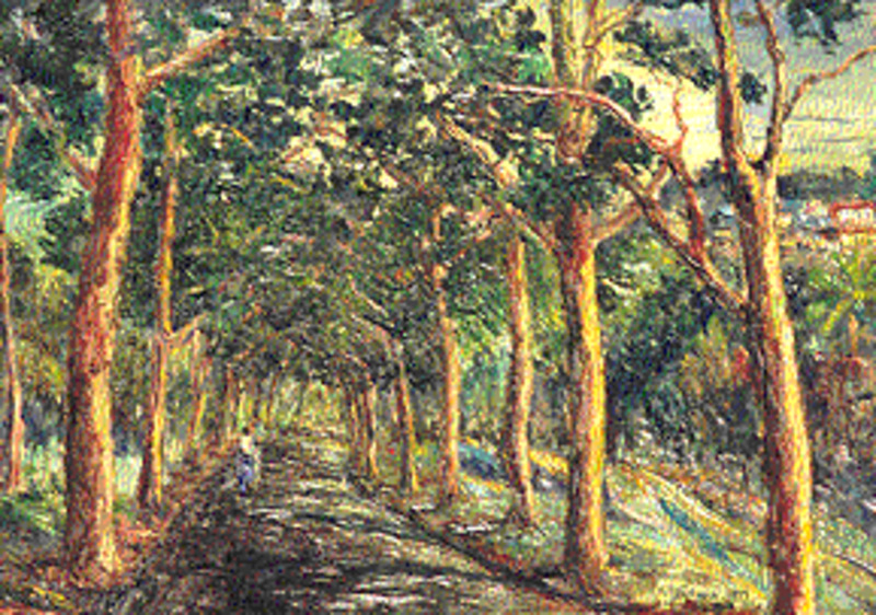 Avenue of trees (Bourre Gardens)