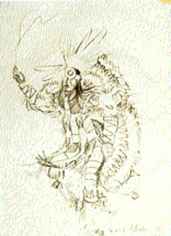 Kiowa fancy war dancer