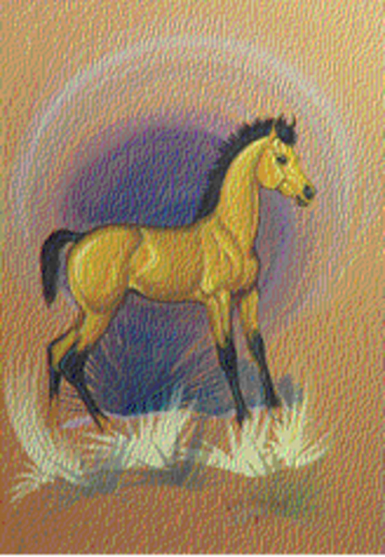 Buckskin colt