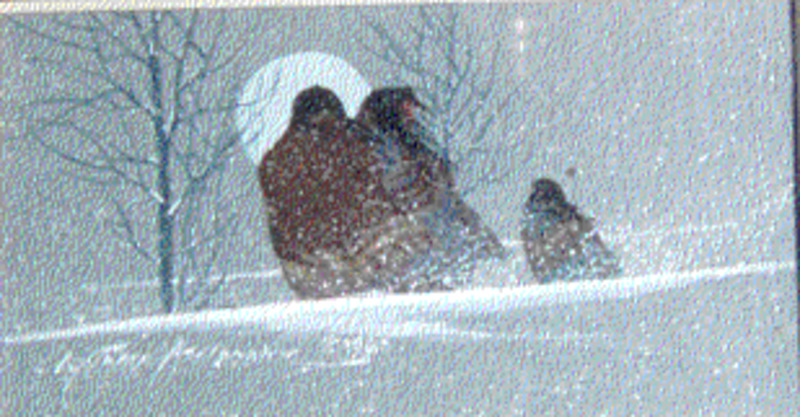 Cool night on the trail