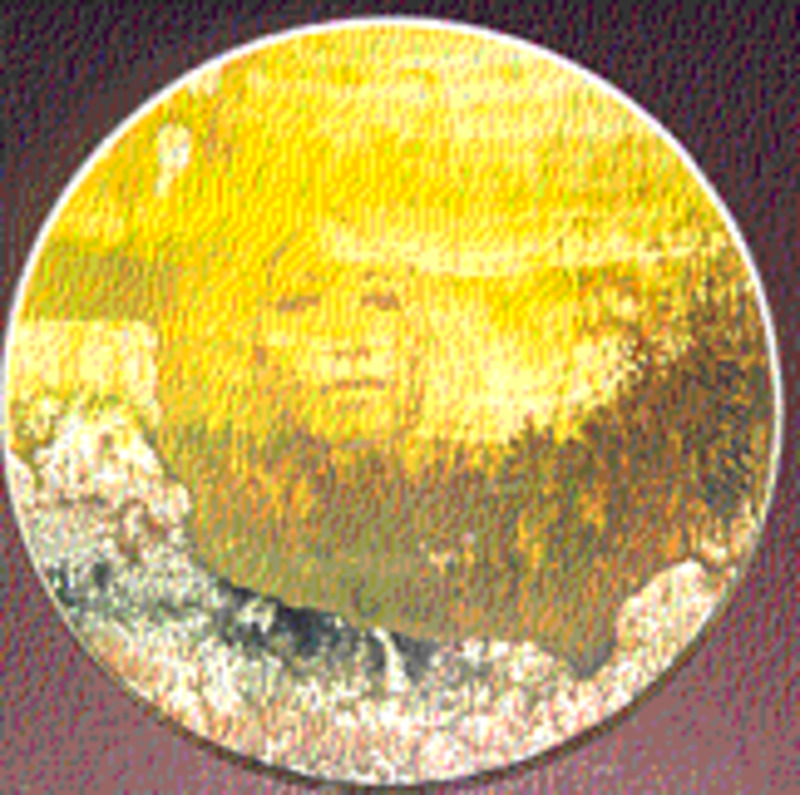 Untitled (Woman's face)