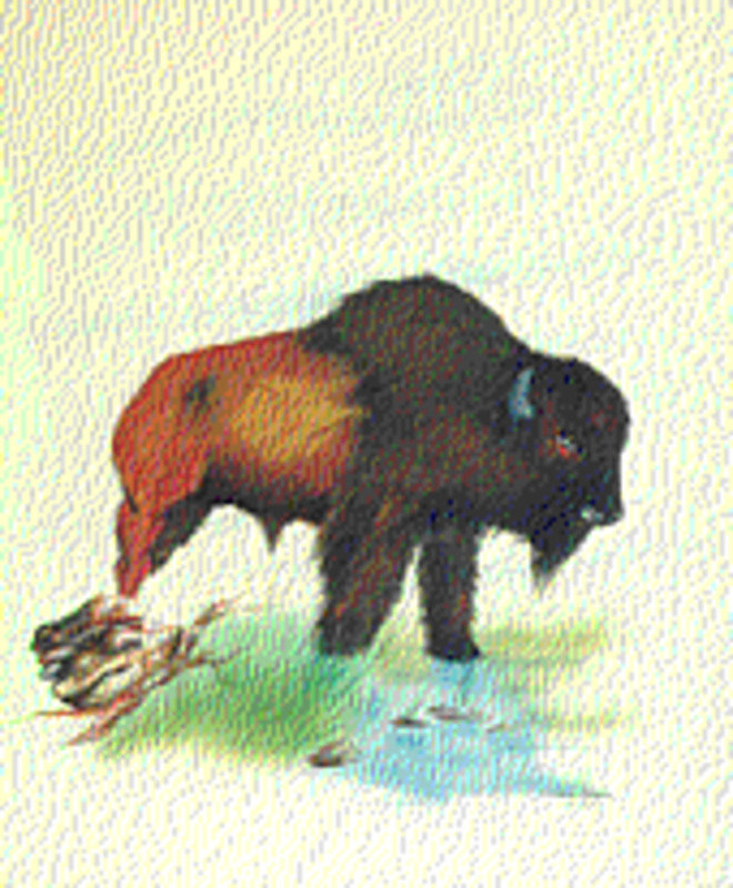 One who stands proudly