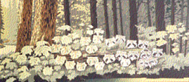 Bandits of leafy hollow