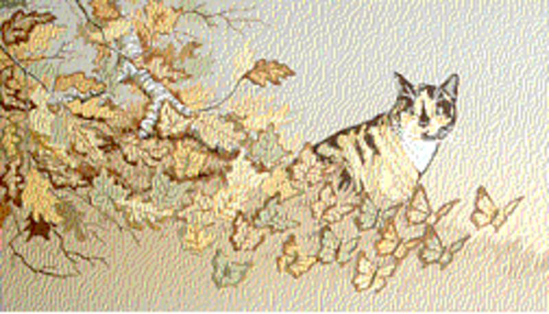 Camille's elusive butterflies