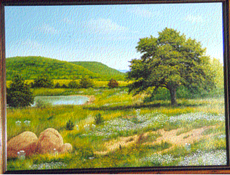 Untitled (Landscape with tree and pond)