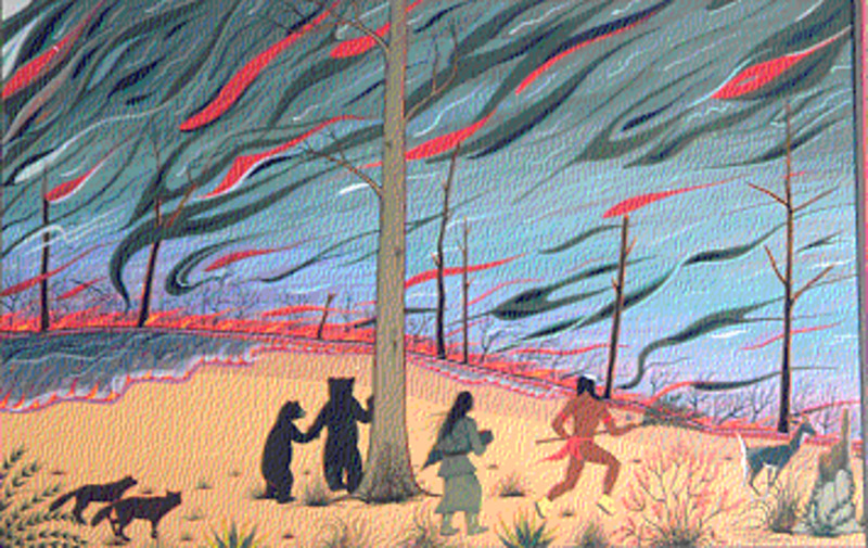 Forest fire