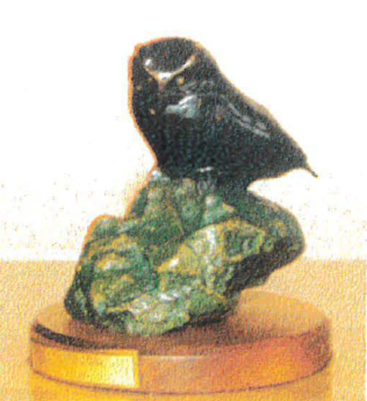 Plateau owl